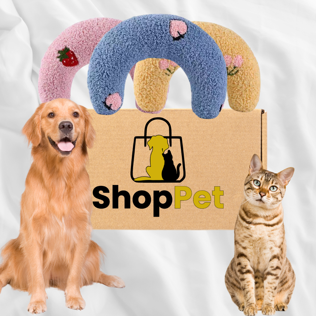 Caja ShopPet.png__PID:bf9f22f7-3e10-4d29-a04b-f6727db4f557